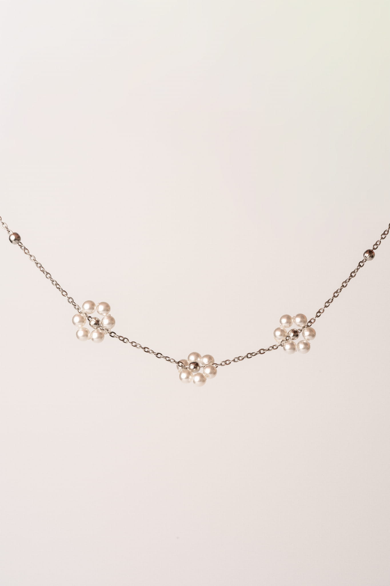 Nolia SIlver 3.jpg